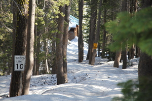 Deer Lake snow 2011