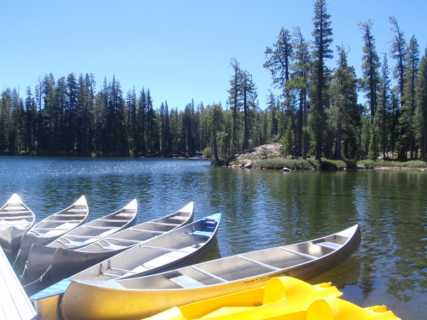 Deer Lake lake web